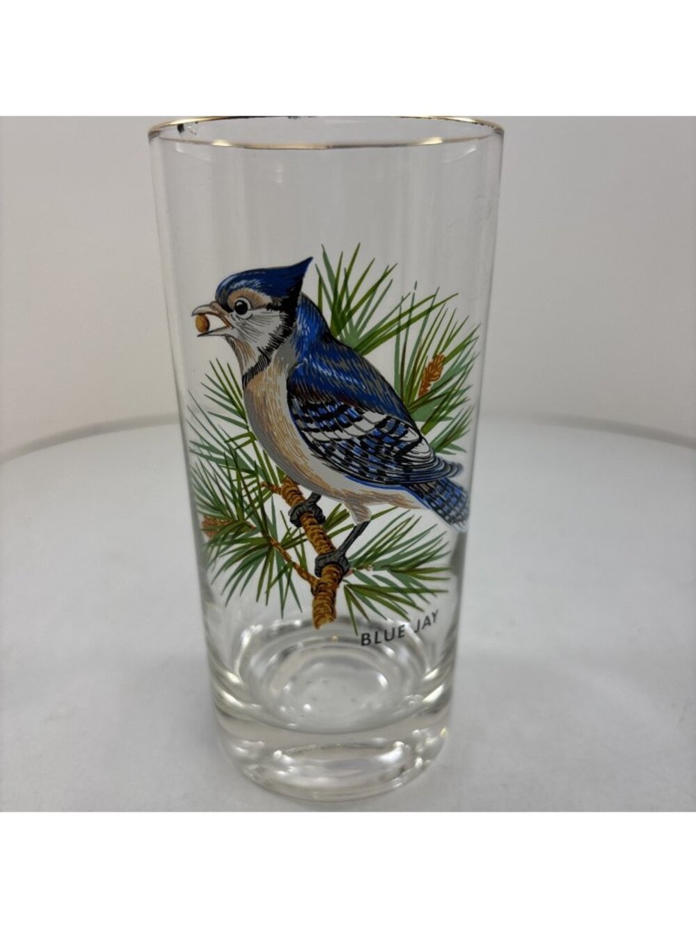 “Blue Jay” Vintage 12oz Flat Tumbler By West Virginia Glass Specialty *see note